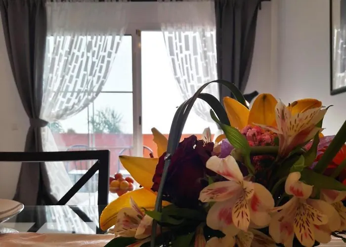 Sun And Ocean, Free Wifi Коста Калма