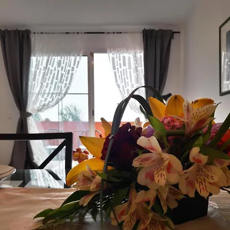 Sun And Ocean, Free Wifi Costa Calma